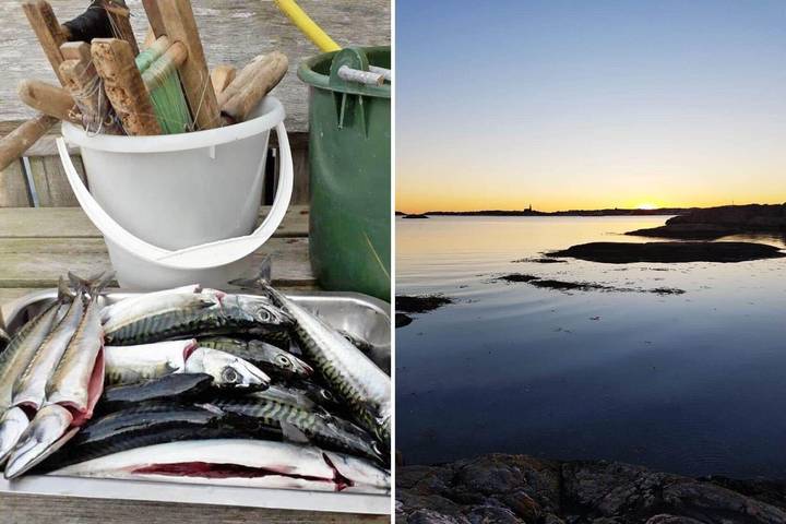 Ferienhaus für 2 Personen, mit Terrasse in Tjörn - 4
