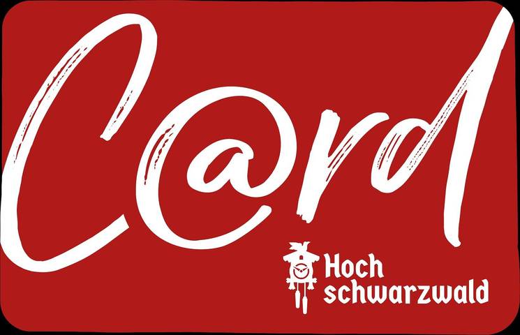 Ferienhaus für 6 Personen, mit Garten in Suedlicher Schwarzwald - 4
