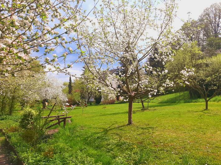 Ferienwohnung für 2 Personen, mit Garten in Bad Freienwalde - 2
