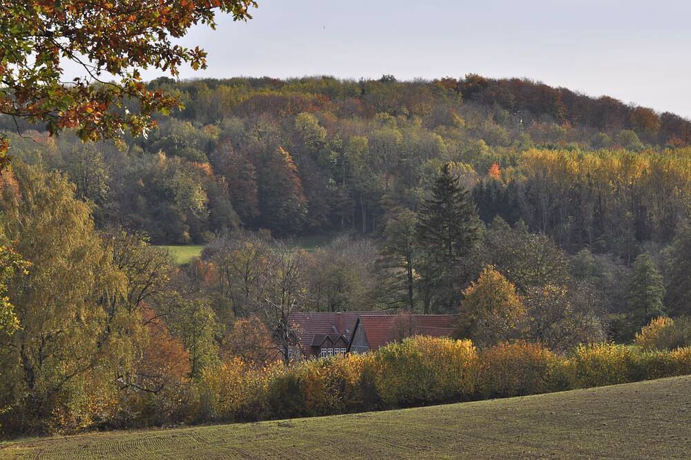 Romantisch gelegene, historische Wassermühle im Silberbachtal in Horn-Bad Meinberg, Kreis Lippe