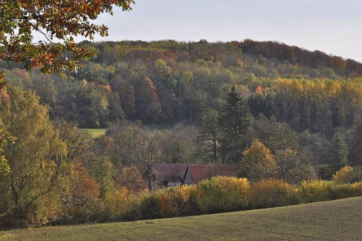 Ferienhaus für 4 Personen, mit Terrasse und Garten in Horn-Bad Meinberg