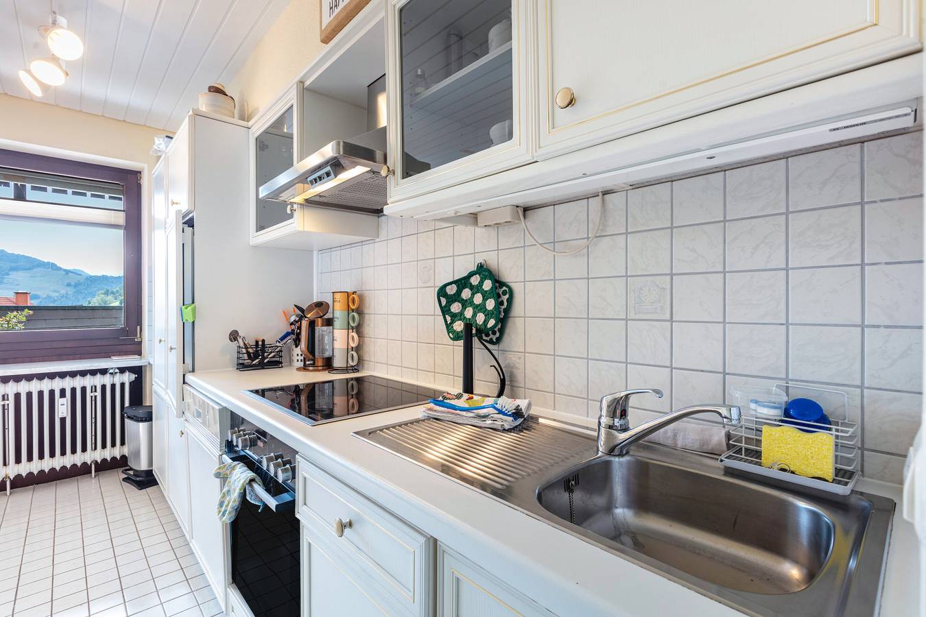 Ganze Wohnung, Apartment 'Blütenzauber' mit Bergblick, privater Terrasse und Wlan in Suedlicher Schwarzwald, Todtnau