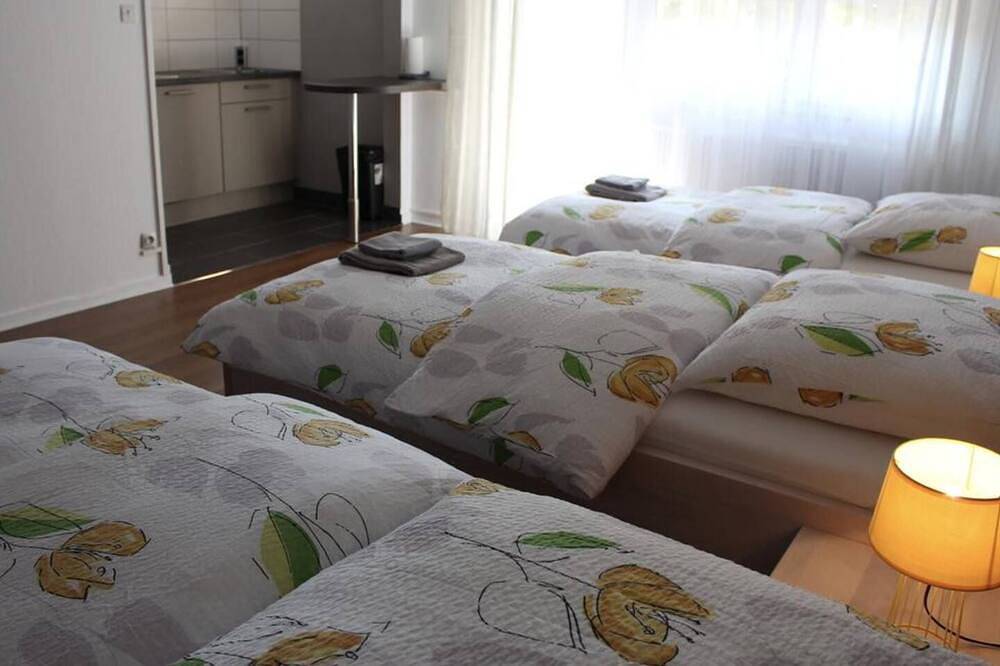 Entire apartment, Studio near Basel Airport in Saint-Louis, Mulhouse region