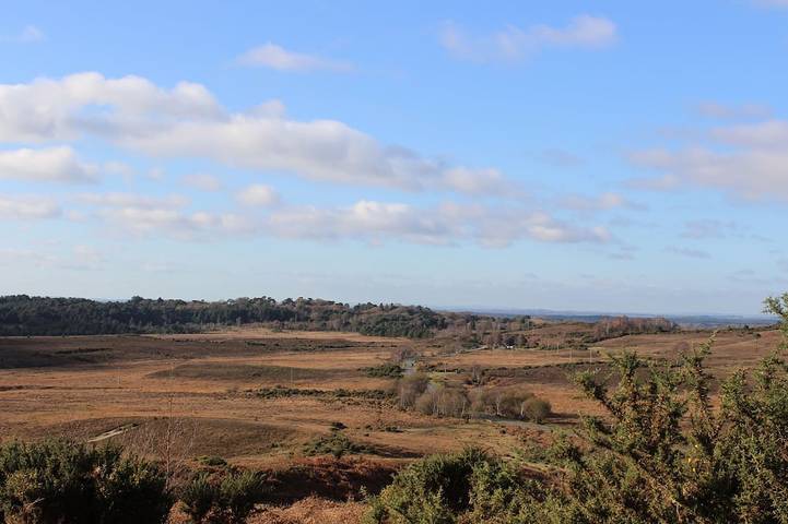 Holiday rental for 6 people, with garden, with pets in Burley