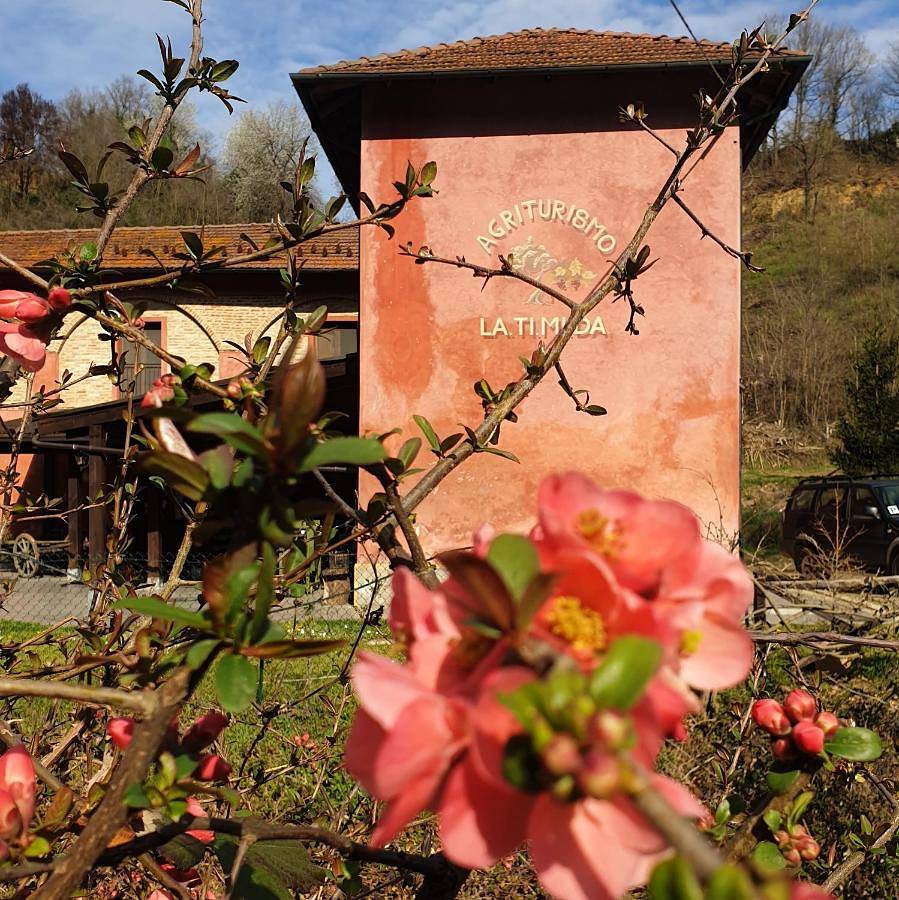 Studio entier, Agriturismo La.Ti.Mi.Da. in Cassine, Province d'Alexandrie