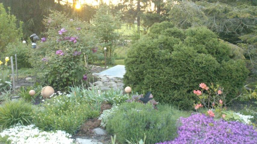 Ferienhaus für 2 Personen, mit Terrasse und Garten sowie Ausblick in Thale - 2