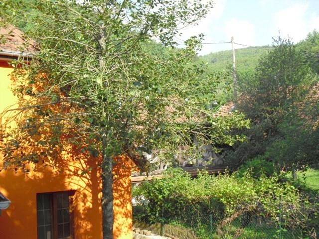 Gîte pour 4 personnes, avec vue et terrasse, animaux acceptés à Rammersmatt