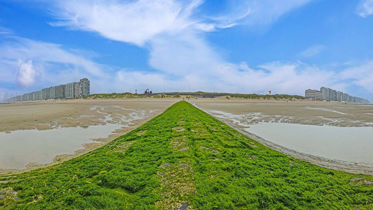 Ganze Ferienwohnung, Ferienwohnung für 4 Personen (80 m²) in Westende in Westende, Middelkerke