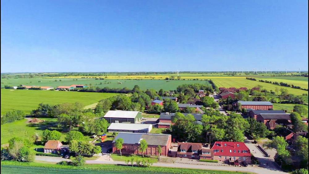 Kastanie in Westfehmarn, Fehmarn