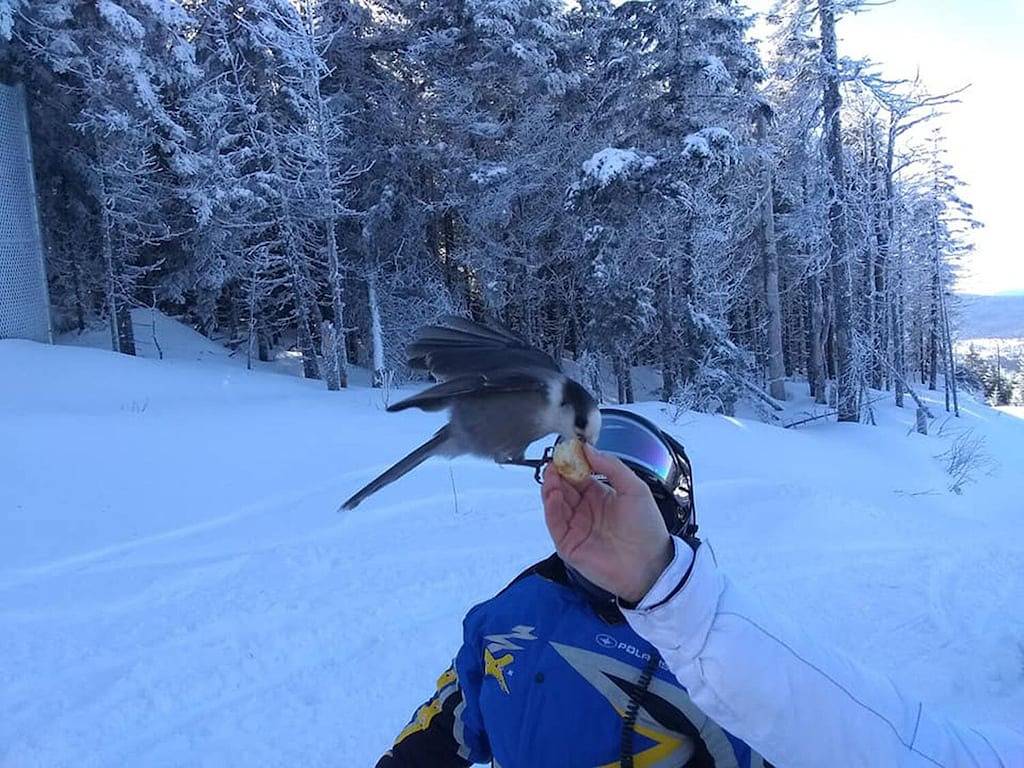 Winterfell Herrliche 1. Ct See & Magalloway Bergansichten! in Pittsburg (NH), Coös County