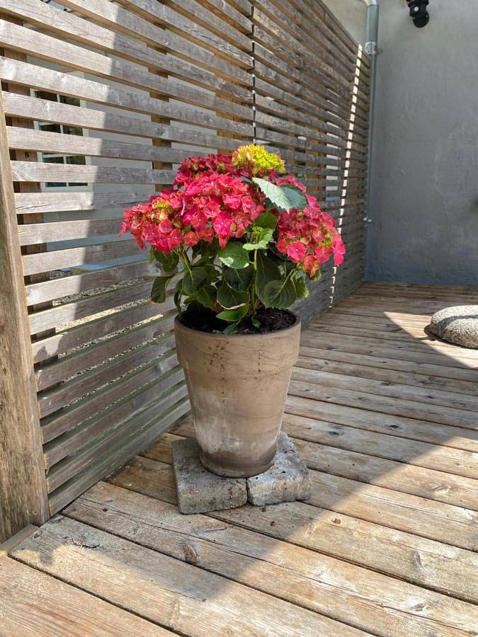 Cały apartament, Apt17 - Quiet Countryside Apartement - only minutes from Billund in Billund, Billund region
