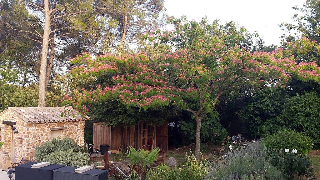 Le Jardin des Selves - Chambre Les Lavandes in Draguignan, Région de Draguignan