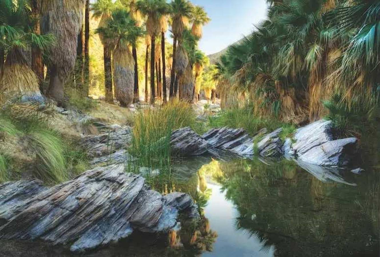 Bauhaus Estate in Palm Springs in Palm Springs, Coachella Valley