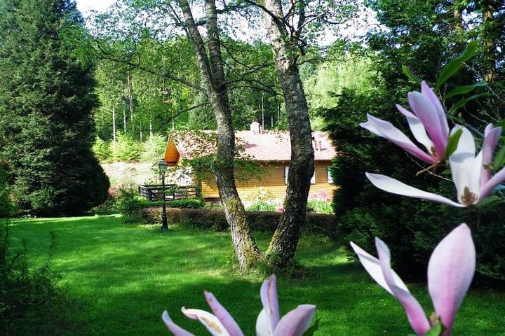 Gîte pour 6 personnes, avec vue sur le lac ainsi que vue et terrasse à Saint-Quirin - 3