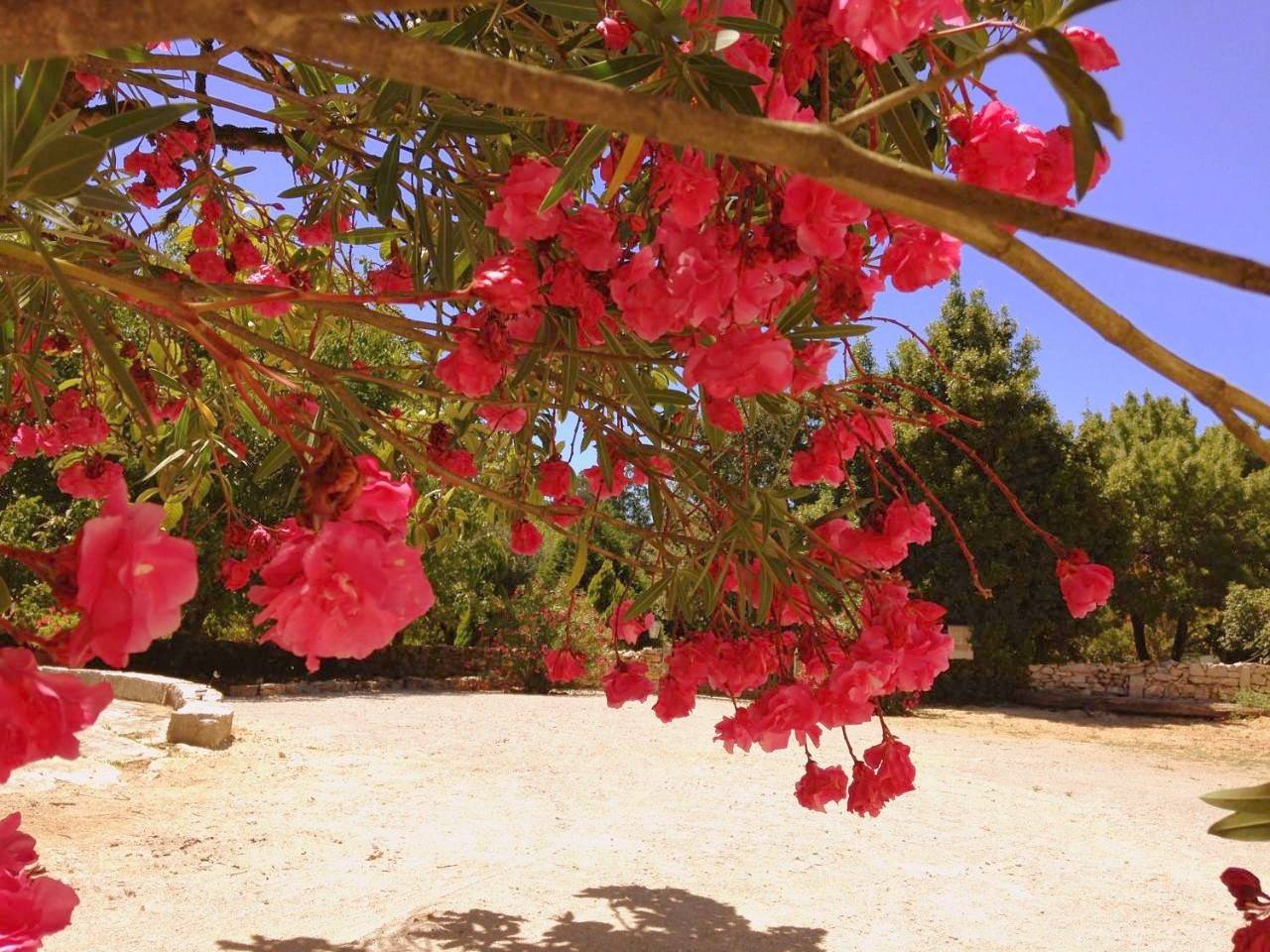 Otium Country House in Alvorge, Leiria distrito
