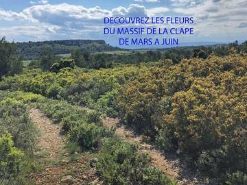 Gîte pour 4 Personnes dans Narbonne, Côte d'Améthyste, Photo 3