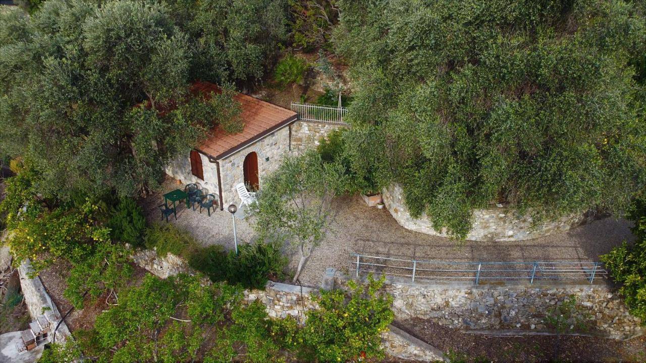 Appartement entier, U Ciousu by Ligurian Life Appartamenti In Agriturismo in Vallebona, Riviera di Ponente