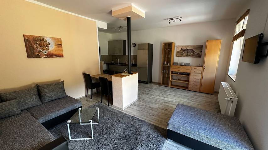 Ferienwohnung für 4 Personen, mit Terrasse in Lietzow - 3