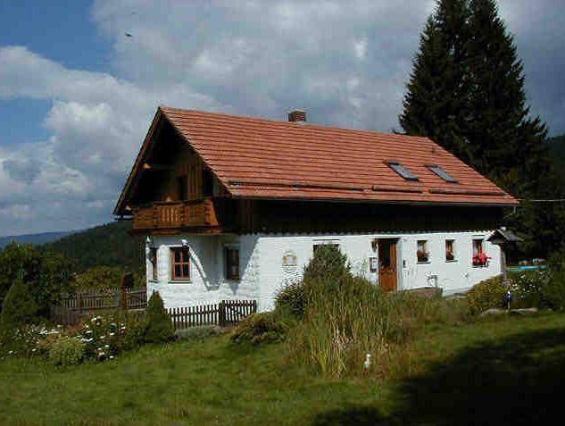 Ferienhaus für 12 Personen, mit Garten und Terrasse, mit Haustier in Neureichenau - 3