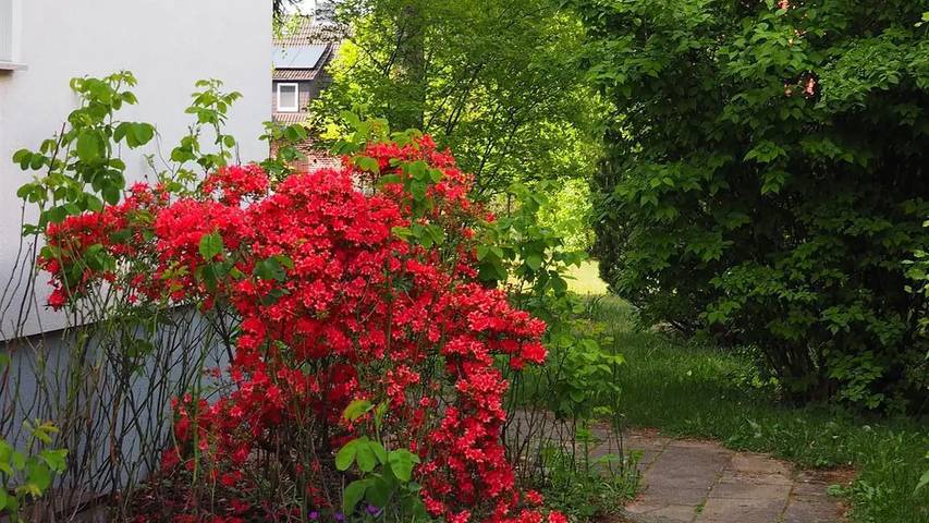Ferienwohnung für 5 Personen, mit Garten in Neuenkirchen (Lüneburger Heide) - 4