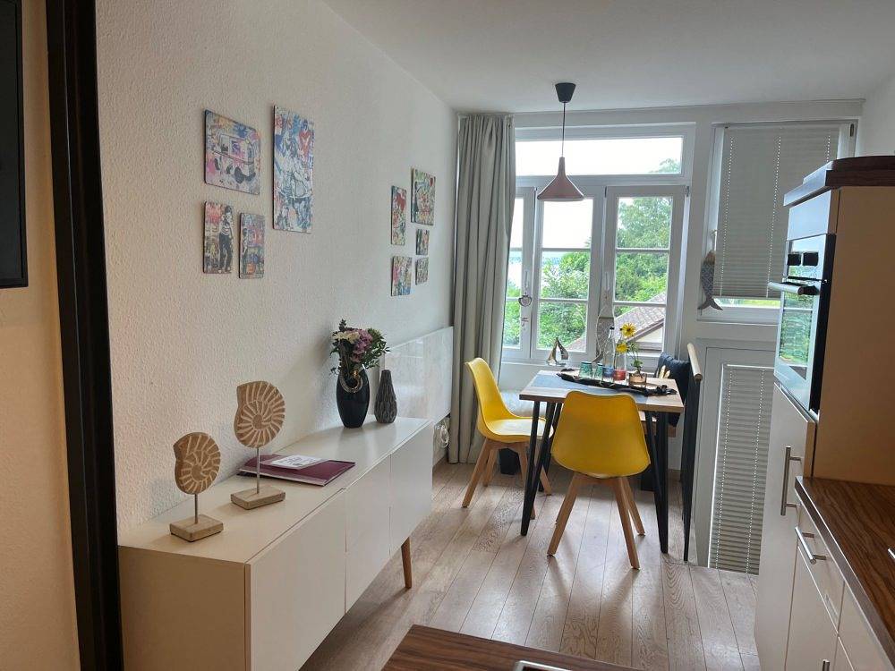 Winzerhäusle Meersburg - Fährblick, foto 7