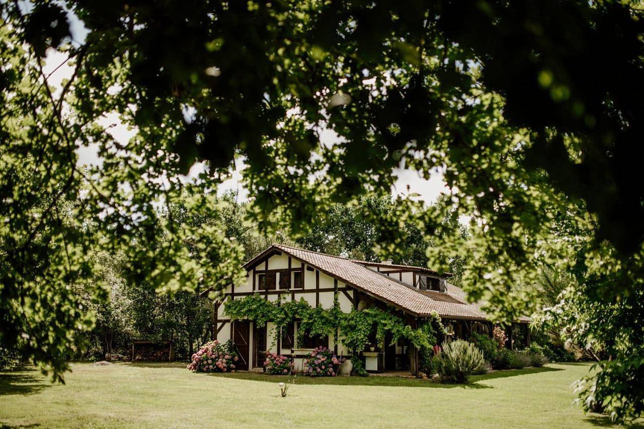 Villa with Private Pool in Saint-Julien-en-Born, Côte d’Argent