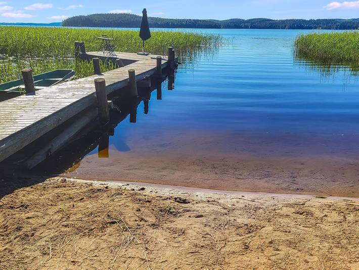 Willa klaara in Jämsä, Mittelfinnland