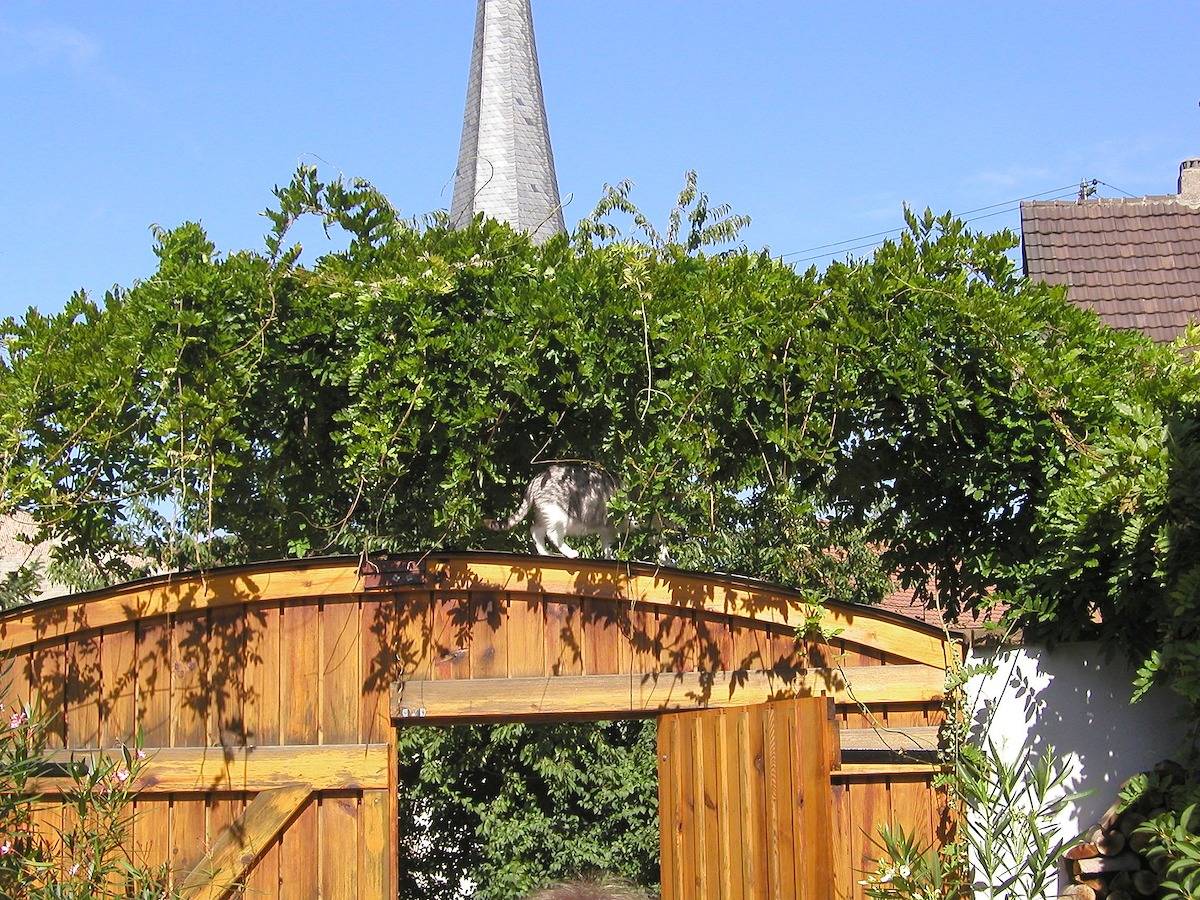 Ganze Wohnung, Ferienwohnung Seidenfaden - Ferienwohnung (45qm) mit Wlan und Terrasse in Karlstadt, Fränkisches Weinland
