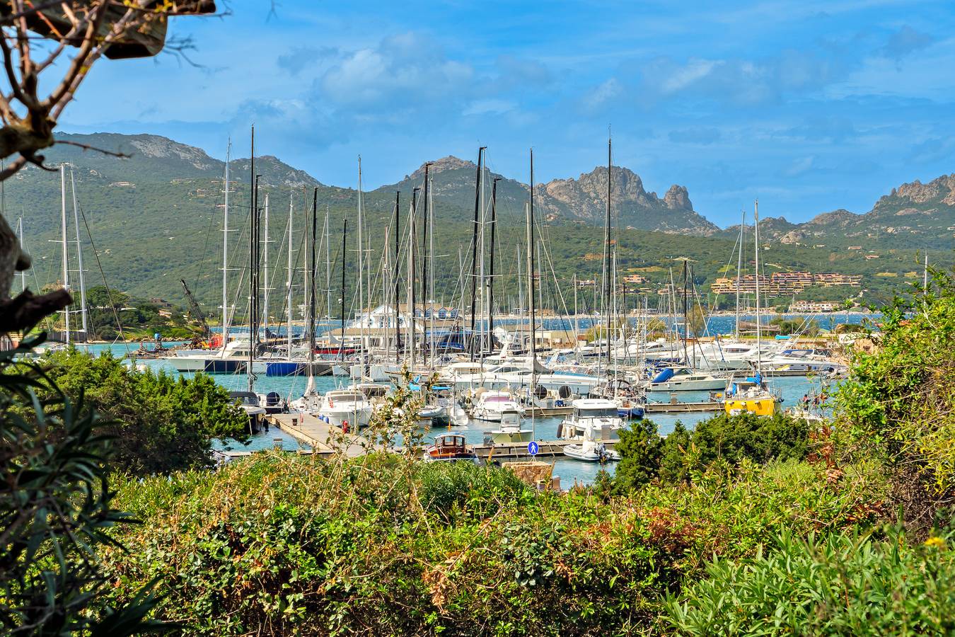 Ganze Wohnung, Punta Lepre vista mare in Porto Rotondo, Costa Smeralda