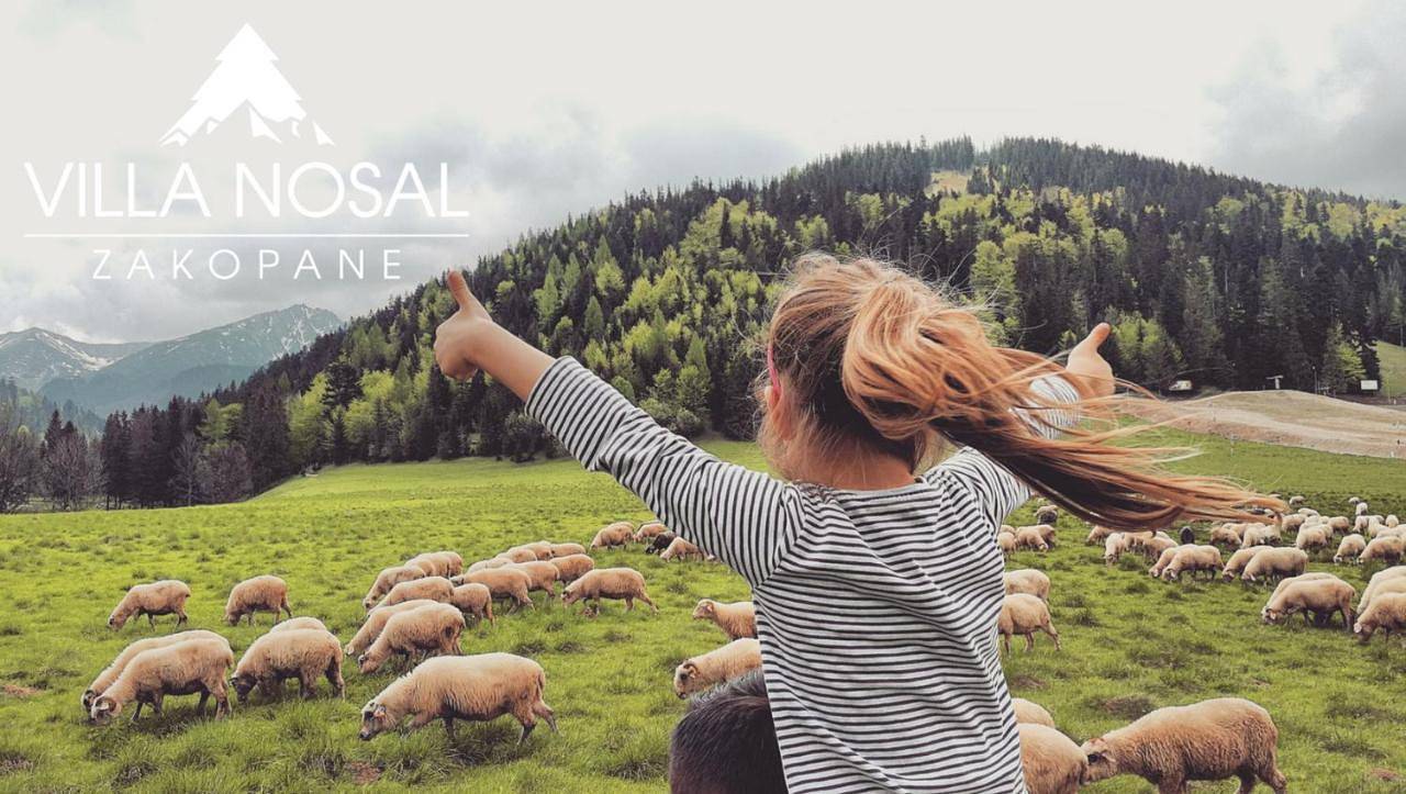 Villa Nosal - Zakopane in Zakopane, Karpaty (Polska)