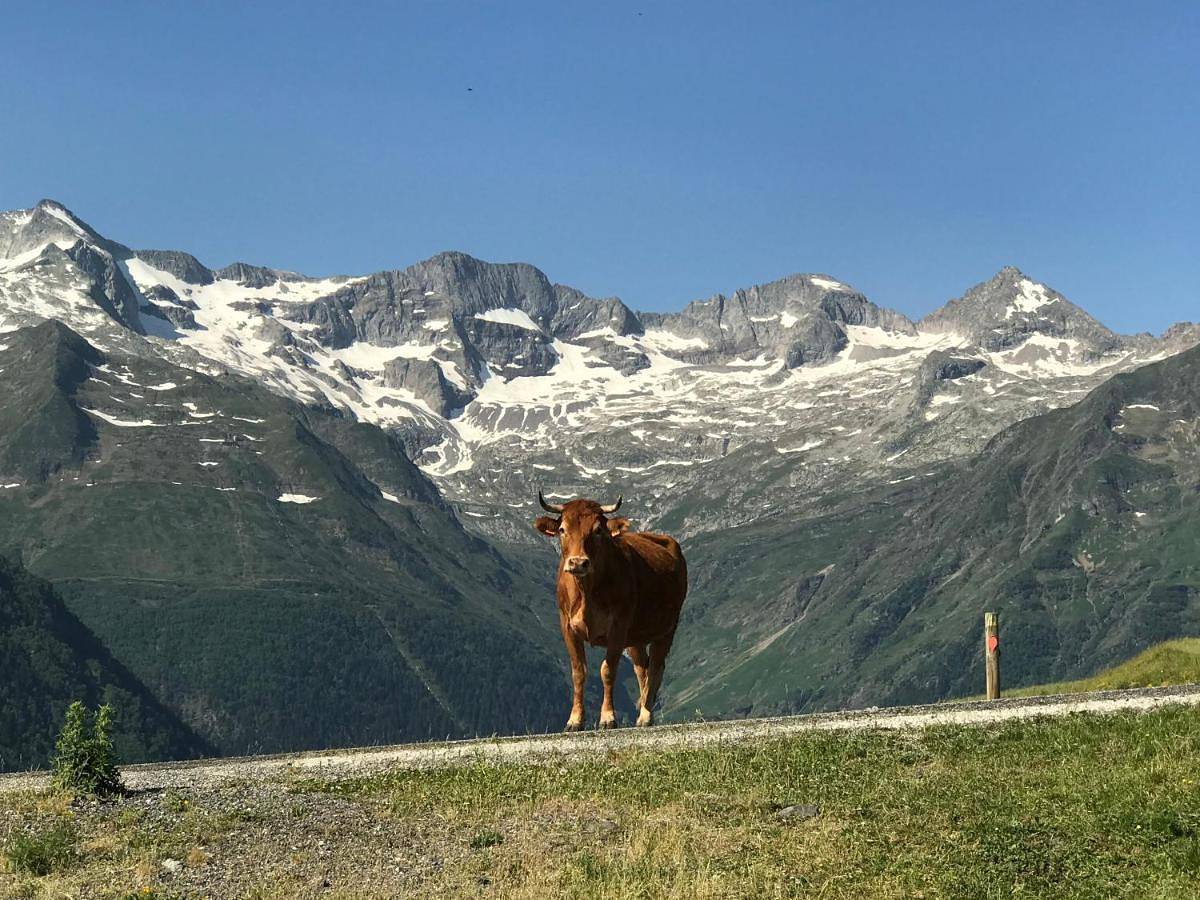 Appartement entier, Princesse Des Neiges in Luchon-Superbagnères, Saint-Aventin