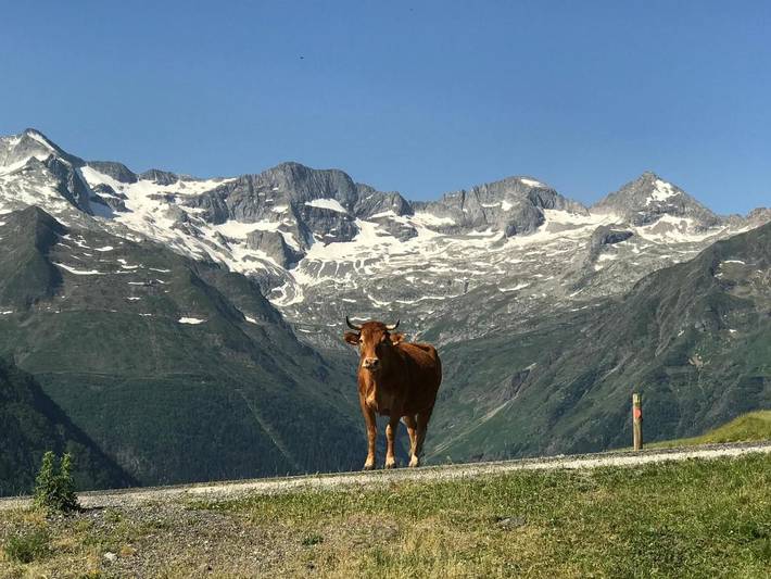 Gîte pour 4 personnes, avec vue et balcon à Saint-Aventin - 4