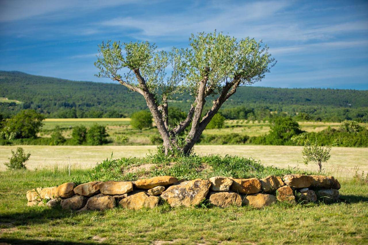 La roulotte, confort - chevaux & cuisine équipée in Montlaux, Région de Forcalquier