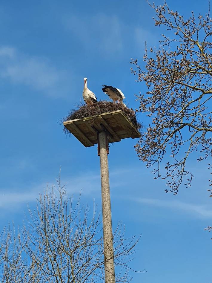 Ferienwohnung für 4 Personen in Erfde