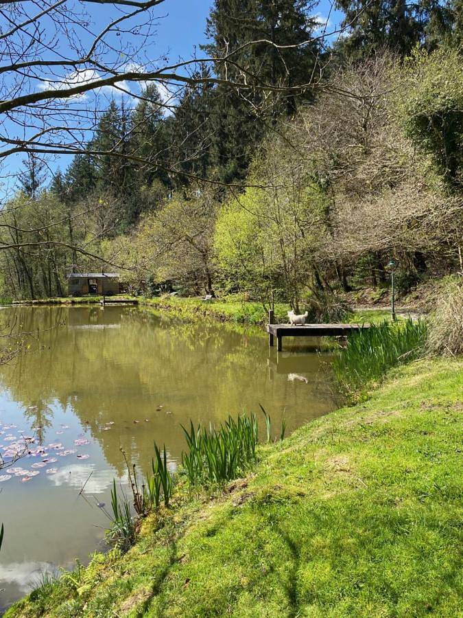 Pension voor 2 personen, with uitzicht op het meer and tuin as well as uitzicht in Cornwall