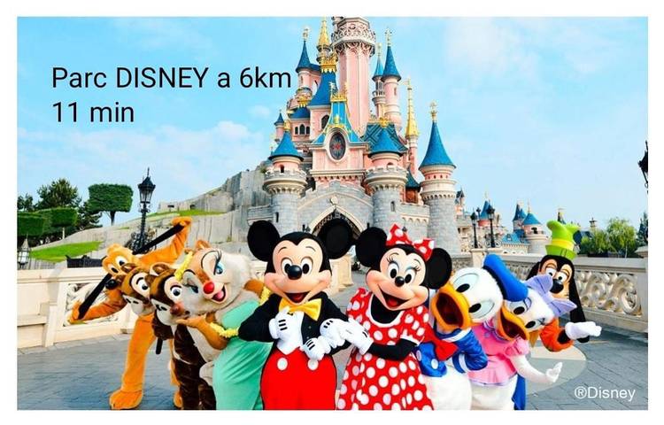 Location de vacances pour 6 personnes, avec jardin à Chalifert - 3