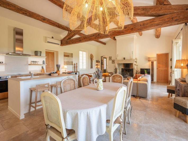 Location de vacances pour 12 personnes, avec jardin et piscine à Eyragues - 4