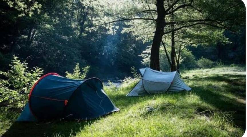 Chambre d’hôte pour 4 personnes, avec jardin à Paimpont - 2