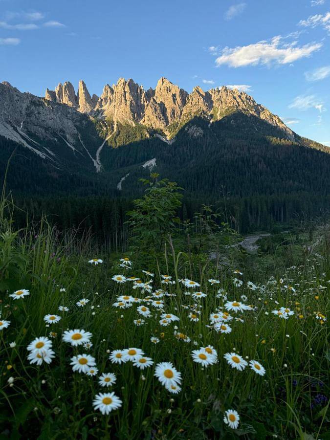 Gîte pour 4 personnes, avec vue à Santo Stefano di Cadore - 2