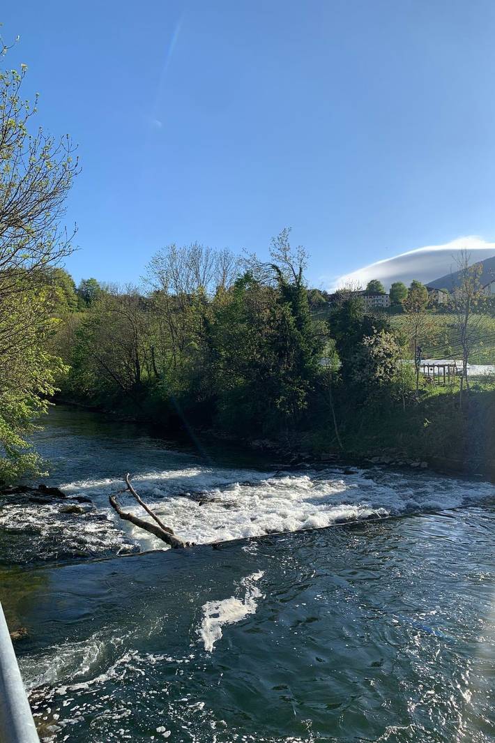 Ferienwohnung für 4 Personen, mit Haustier - 1