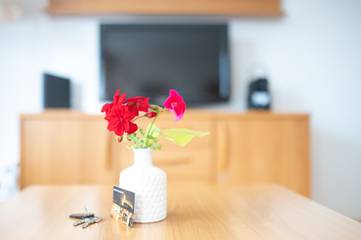 Studio für 3 Personen in Bad Säckingen, Hochschwarzwald, Bild 3