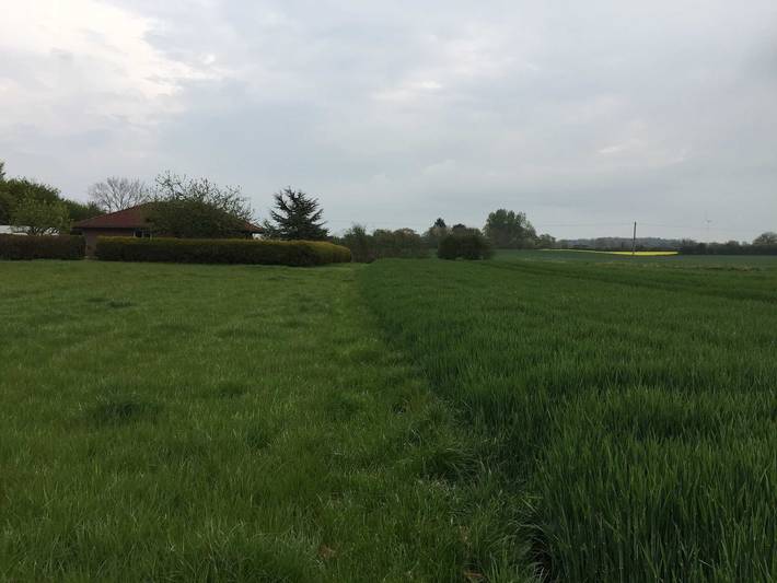 Ferienhaus für 5 Personen, mit Terrasse und Garten, mit Haustier in Hasselberg - 4