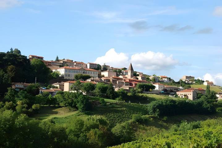 Location de vacances pour 13 personnes à Vaux-en-Beaujolais - 2