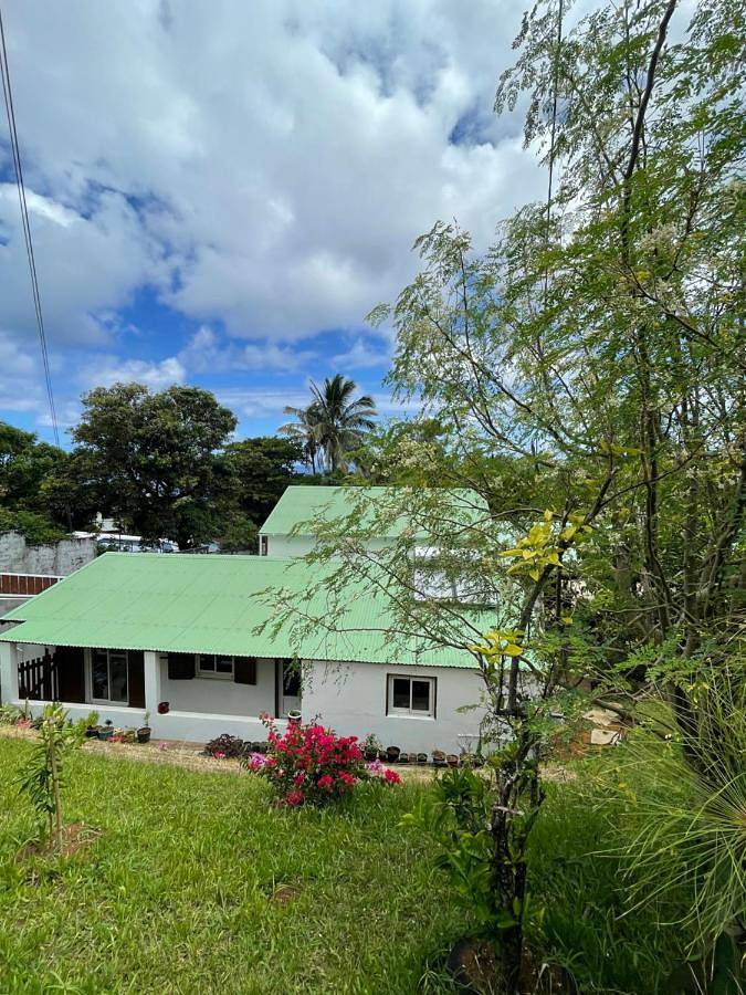 Chambre d’hôte pour 2 personnes, avec jardin et terrasse dans Piton de la Fournaise - 3