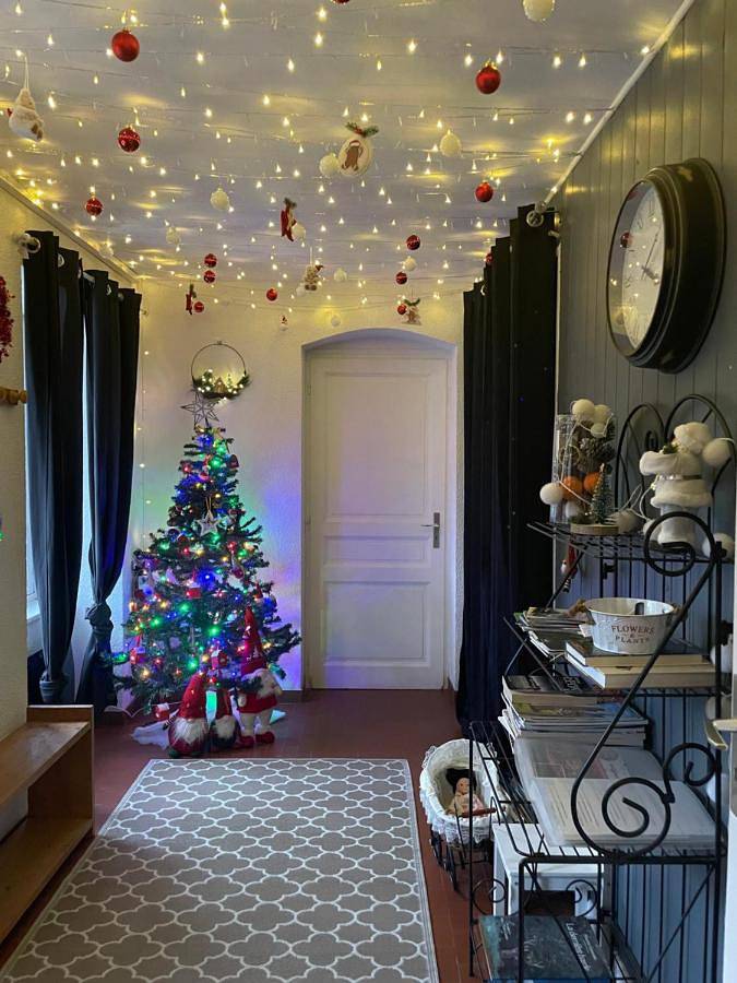 Gîte pour 8 personnes, avec vue et jardin, animaux acceptés à Saint-Martin-en-Vercors - 4