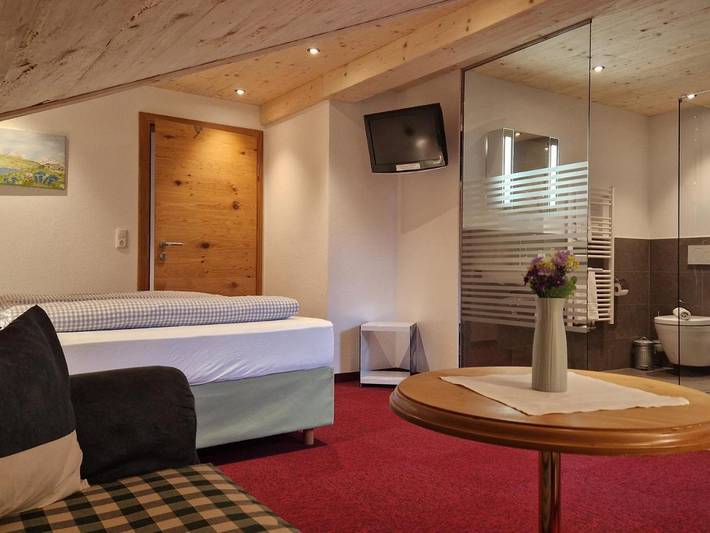 Maison d’hôte pour 3 personnes, avec vue et terrasse à Tannheim - 2