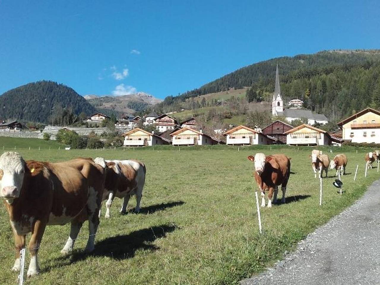 Mölltaler Ferienhäuser - Mölltaler Ferienhäuser in Großkirchheim, Oberkärnten