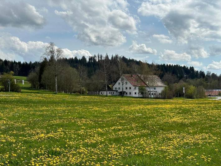 Hotel, mit Garten
