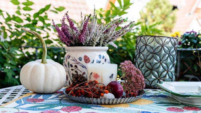 Gîte pour 3 personnes, avec jardin et terrasse à Lahr - 4