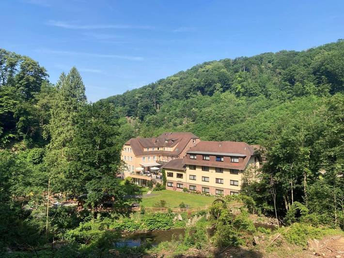 Hotel für 3 Personen, mit Terrasse und Garten sowie Sauna in Weinheim - 2